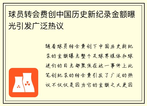 球员转会费创中国历史新纪录金额曝光引发广泛热议